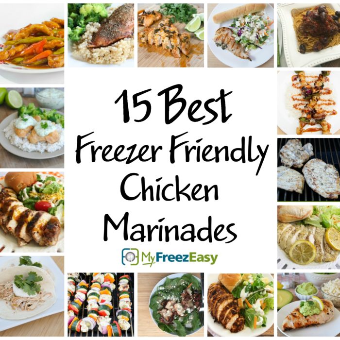 15 Best Freezer Friendly Chicken Marinades
