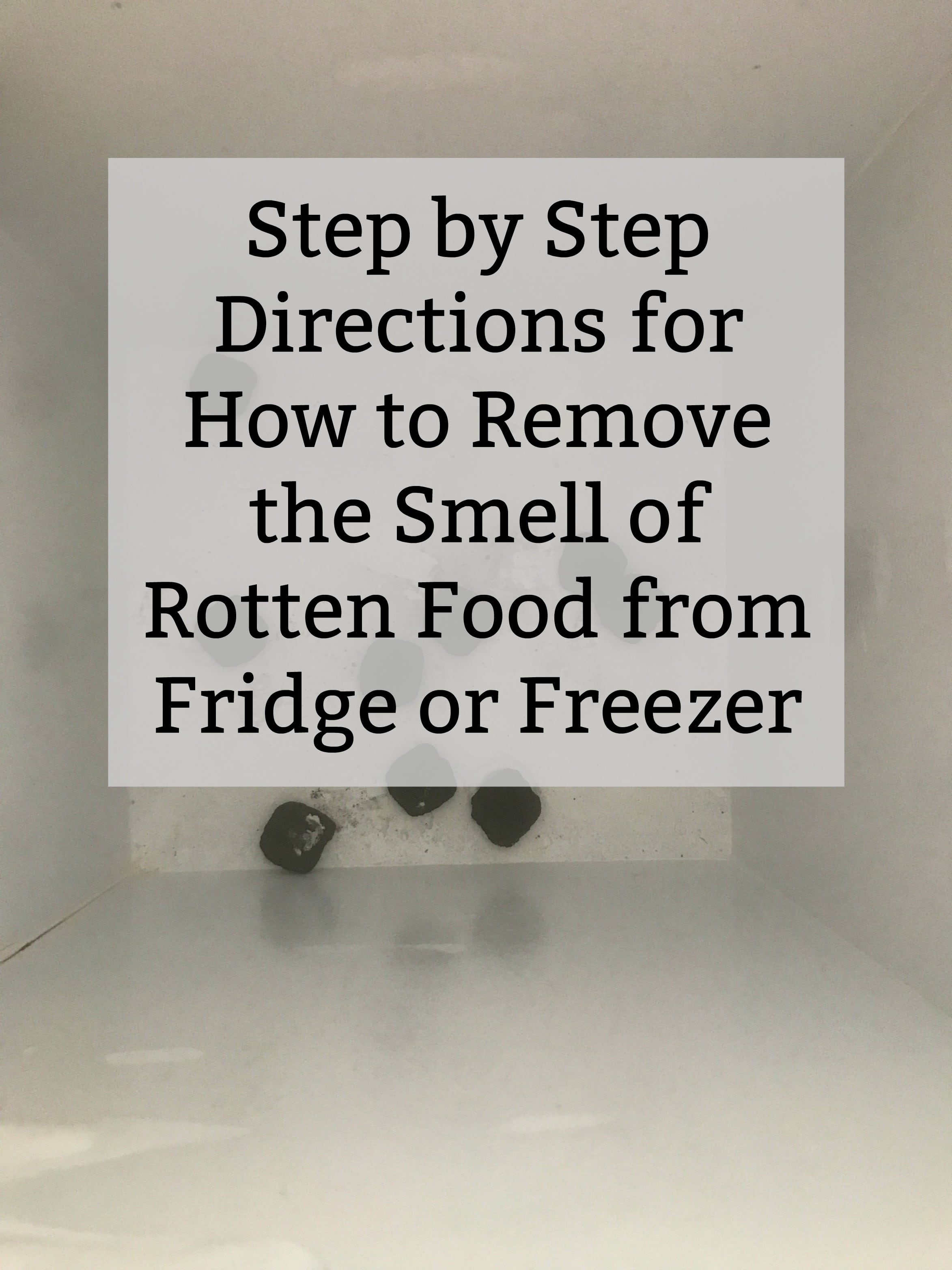 how to remove the smell of rotten food from freezer