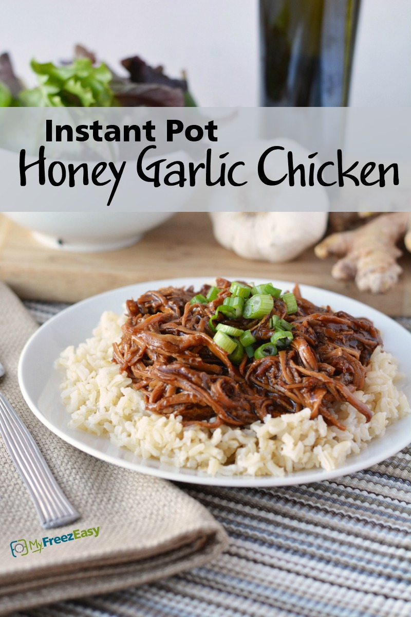 Instant Pot Honey Garlic Chicken - MyFreezEasy