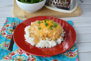 cheesy salsa chicken