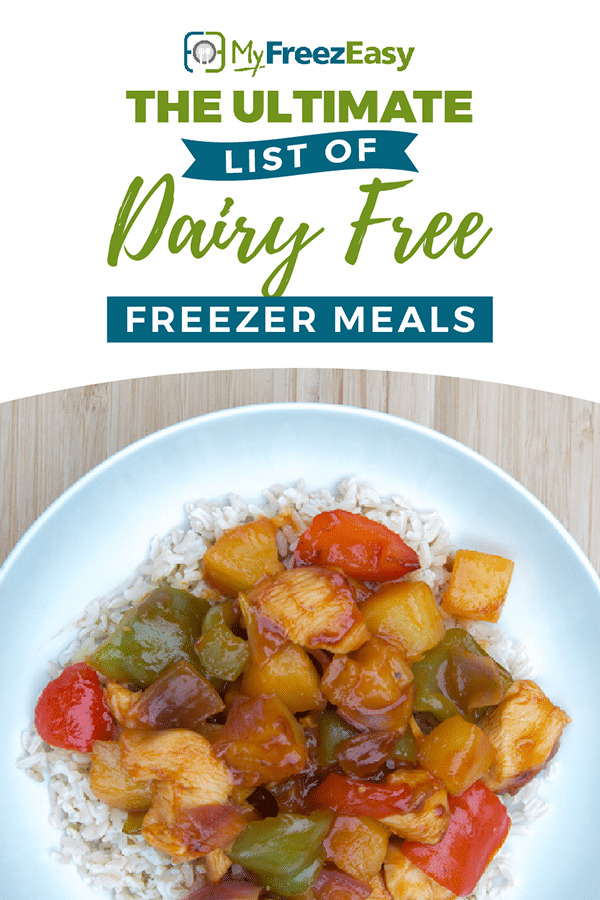 Gluten-Free Freezer Meals: DIGITAL & PRINTED PDF + BAG HOLDERS - Erin Chase  Store